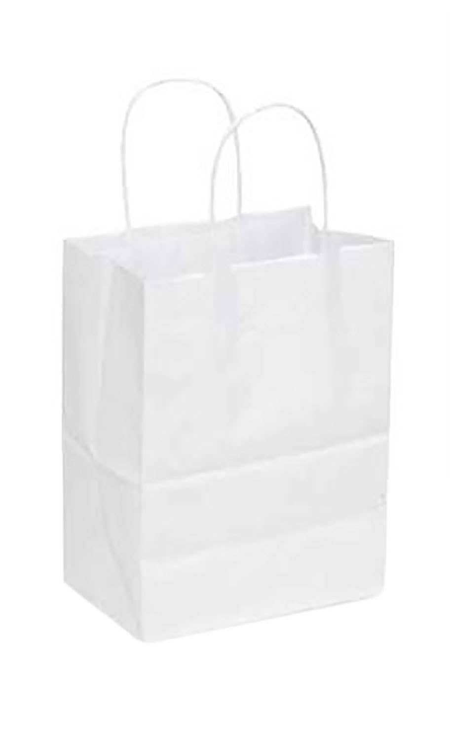 Store Supply Warehouse - Kraft Paper Shopping Bags