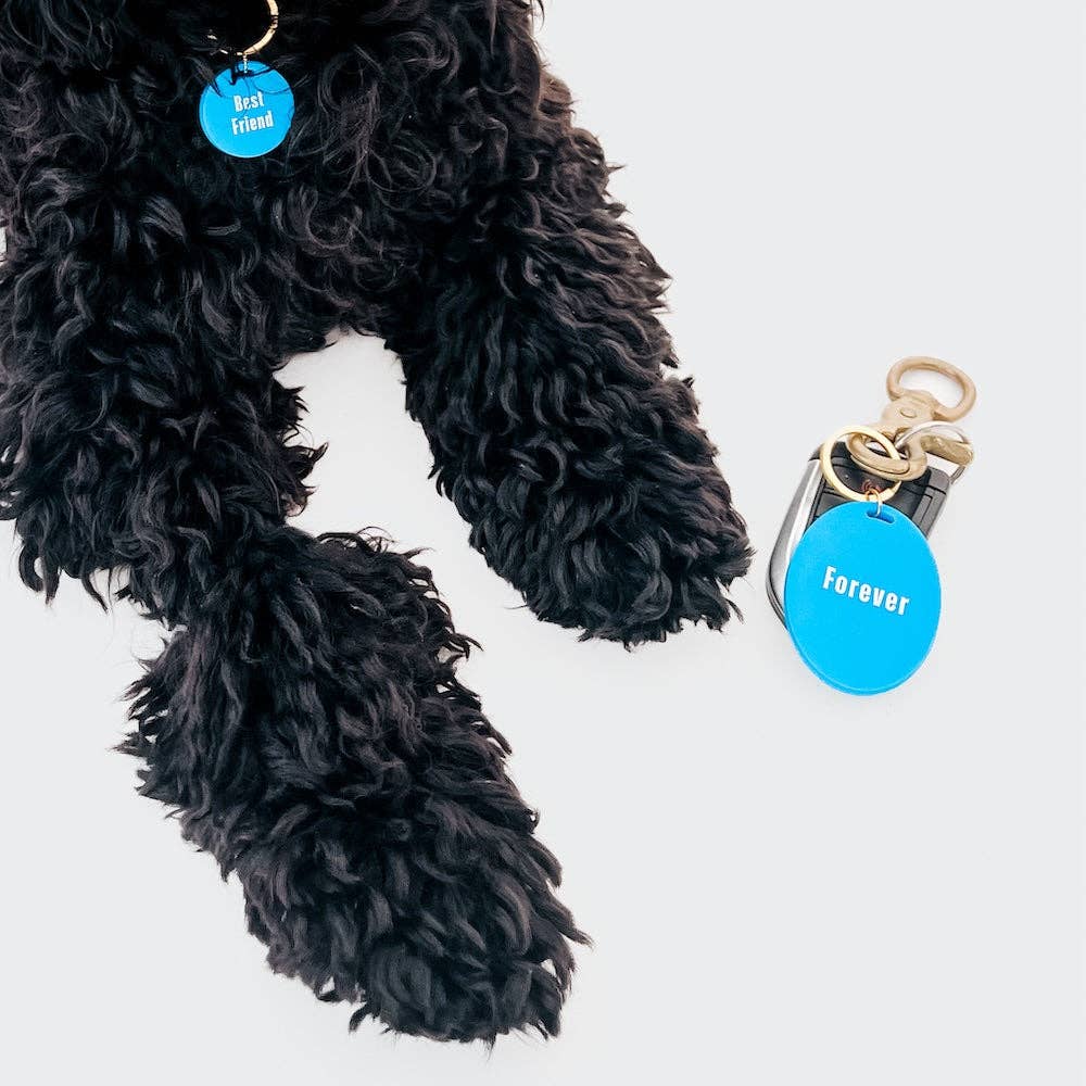 Pretty Simple - Gus & Co - Dog Tag and Keychain Set Wholesale