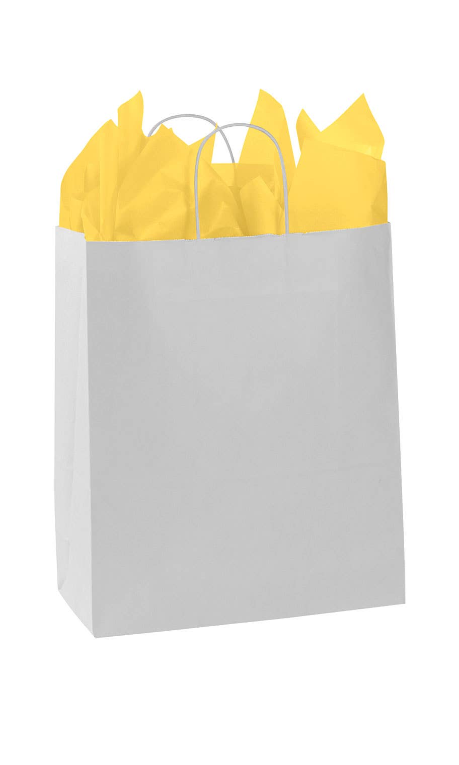 Store Supply Warehouse - Kraft Paper Shopping Bags