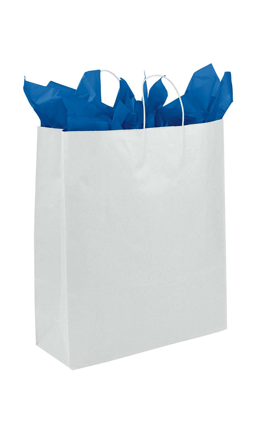 Store Supply Warehouse - Kraft Paper Shopping Bags