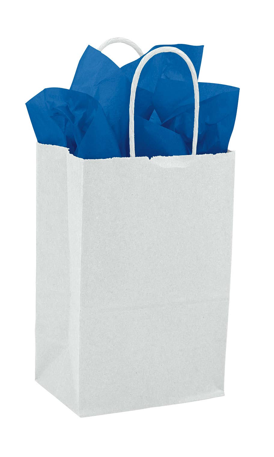 Store Supply Warehouse - Kraft Paper Shopping Bags