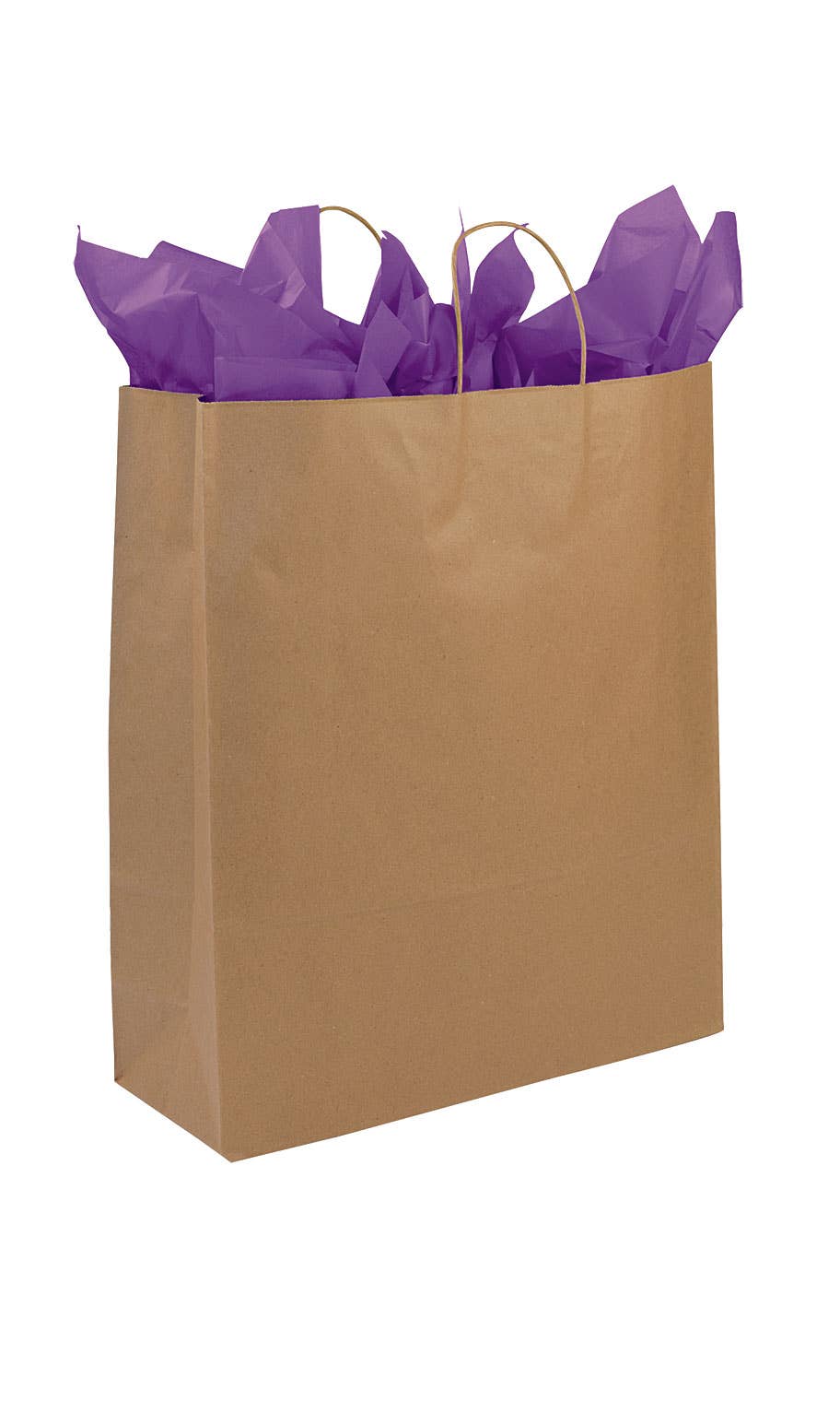 Store Supply Warehouse - Kraft Paper Shopping Bags