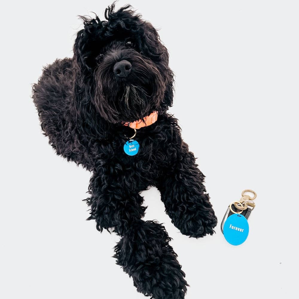Pretty Simple - Gus & Co - Dog Tag and Keychain Set Wholesale