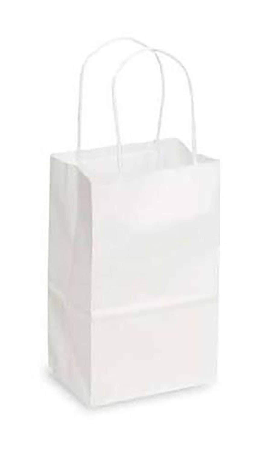Store Supply Warehouse - Kraft Paper Shopping Bags