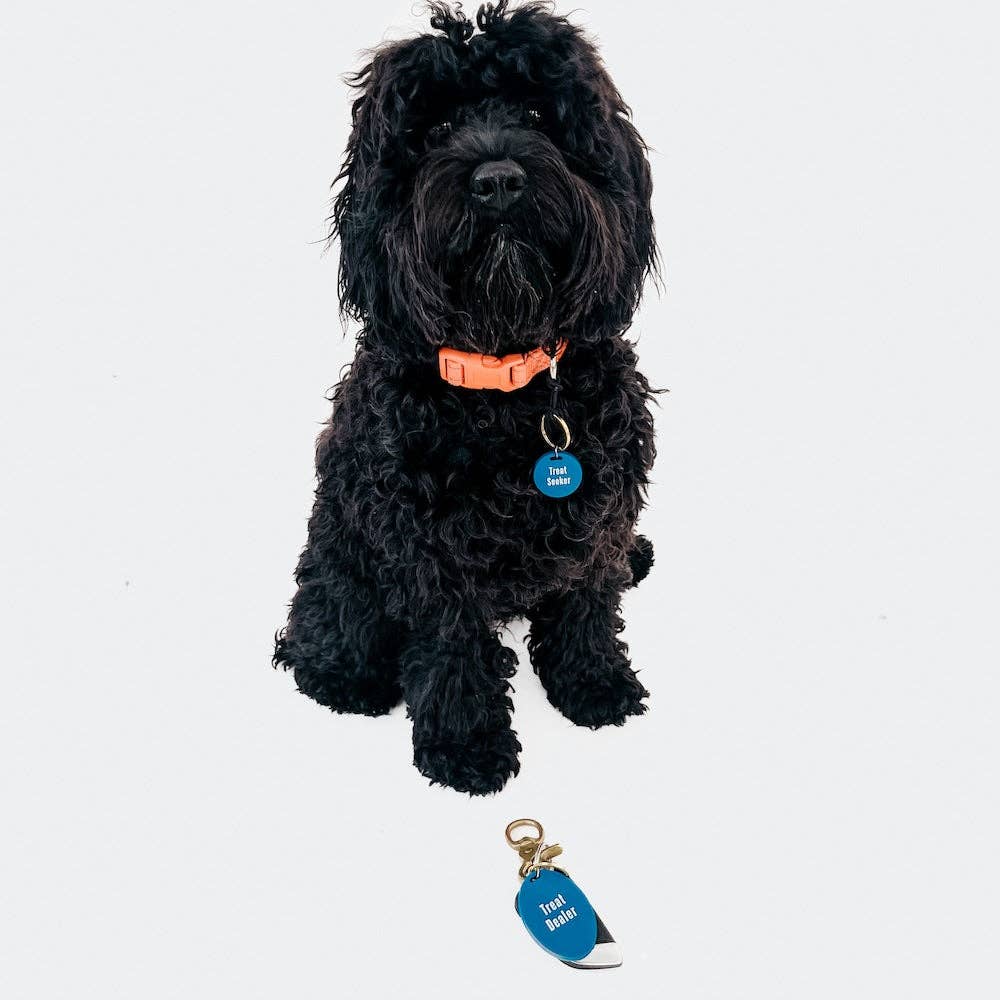 Pretty Simple - Gus & Co - Dog Tag and Keychain Set Wholesale