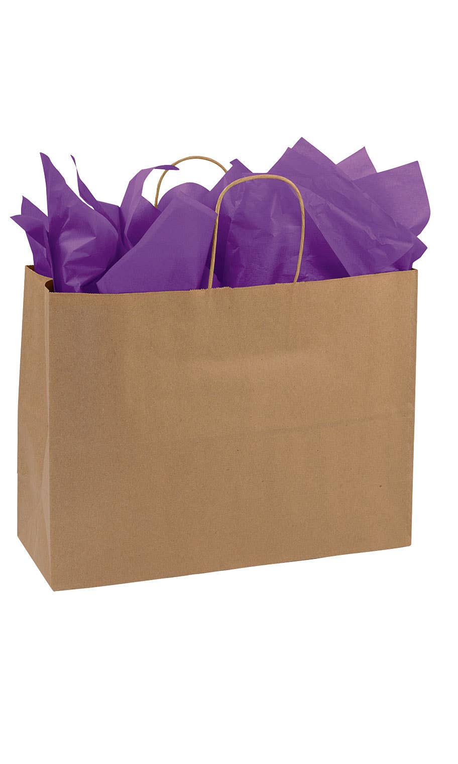 Store Supply Warehouse - Kraft Paper Shopping Bags