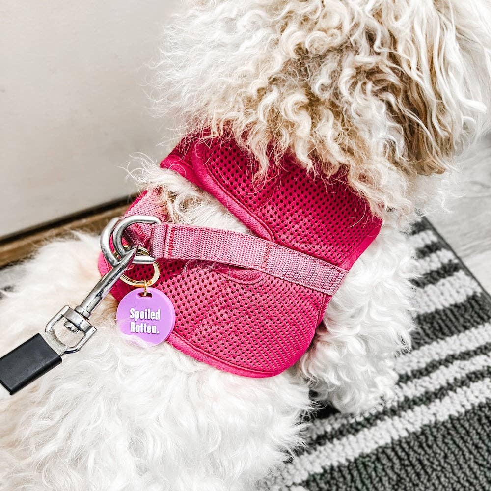 Pretty Simple - Gus & Co - Dog Tag and Keychain Set Wholesale