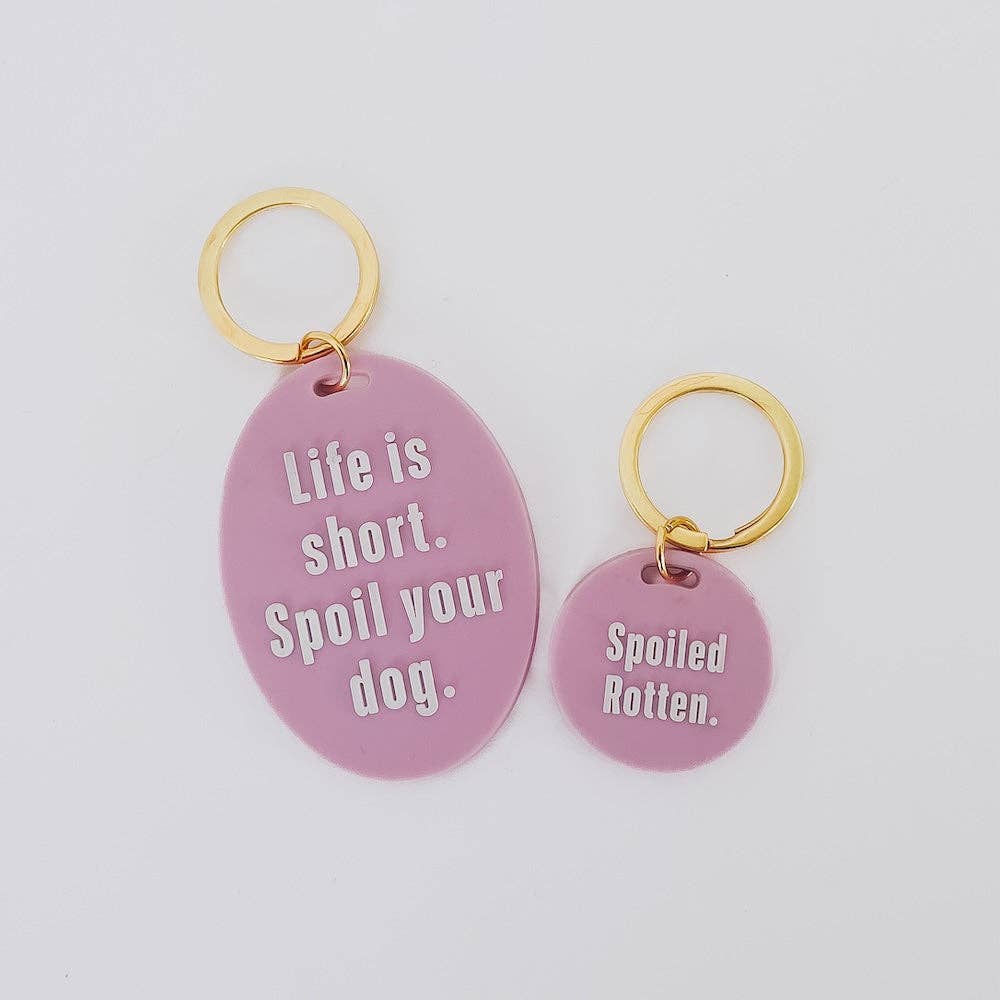 Pretty Simple - Gus & Co - Dog Tag and Keychain Set Wholesale