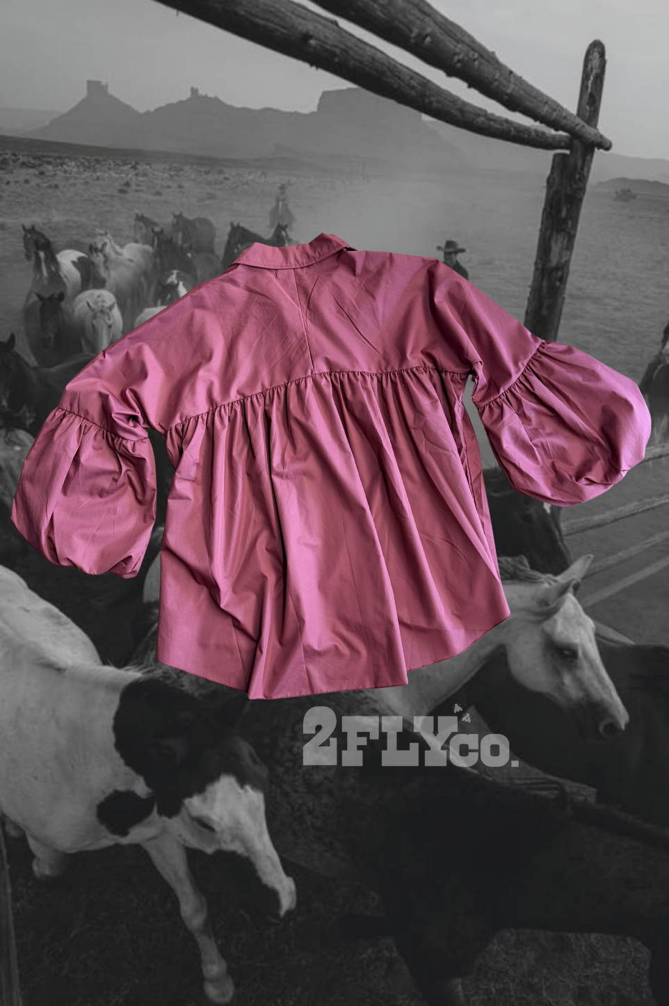 2 Fly Co - THE BRAZOS TOP *WINE