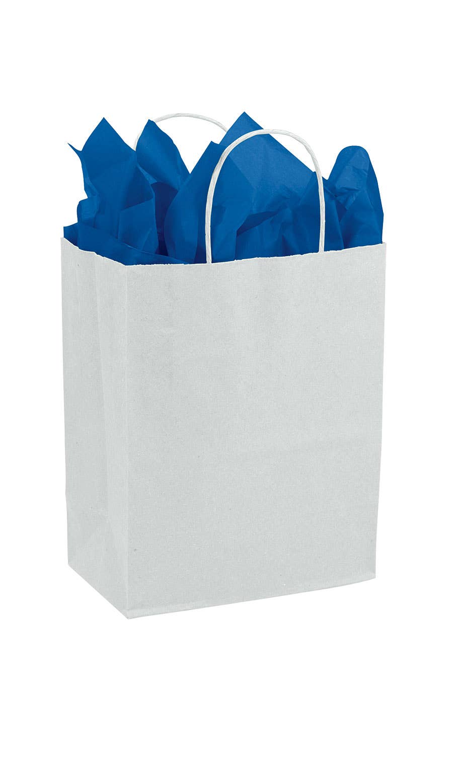 Store Supply Warehouse - Kraft Paper Shopping Bags